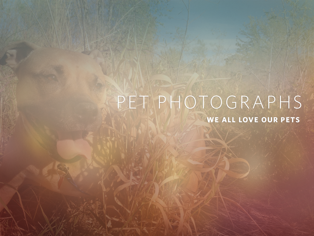 Pet Photos Cover
